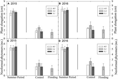 Day-Length Is Involved in Flooding Tolerance Response in Wild Type and Variant Genotypes of Rootstock Prunus cerasifera L.